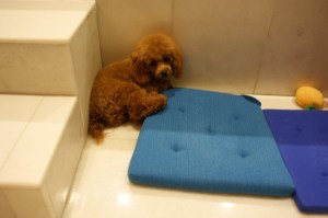 baby just after her meal