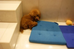 hanging out in the corner